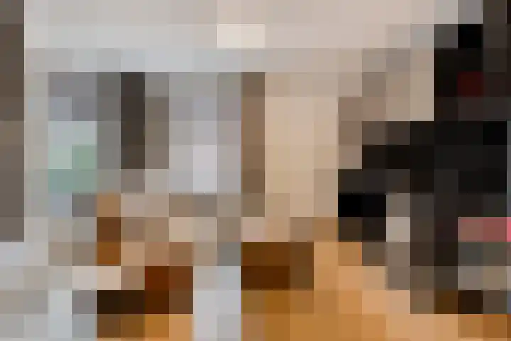 De Oude Vest 11 Oss thumbnail 10