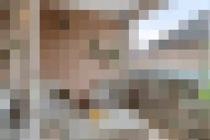De Oude Vest 11 Oss thumbnail 25