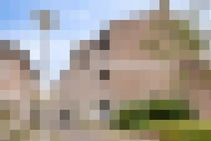 De Oude Vest 11 Oss thumbnail 28