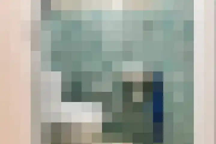 De Oude Vest 11 Oss thumbnail 9