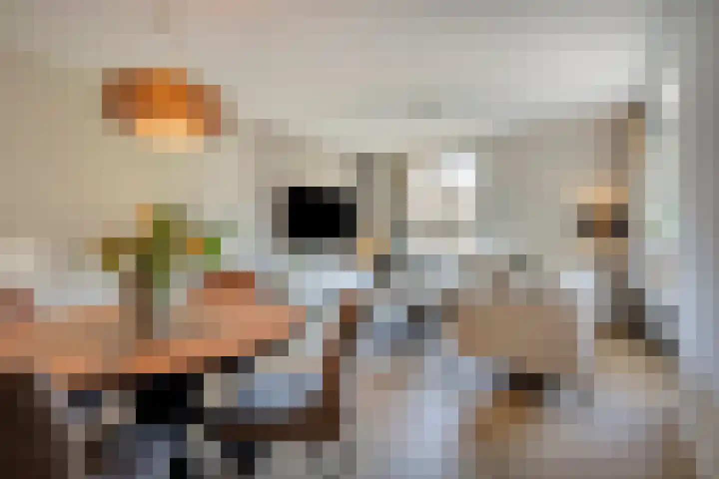 De Oude Vest 15 Oss thumbnail 11