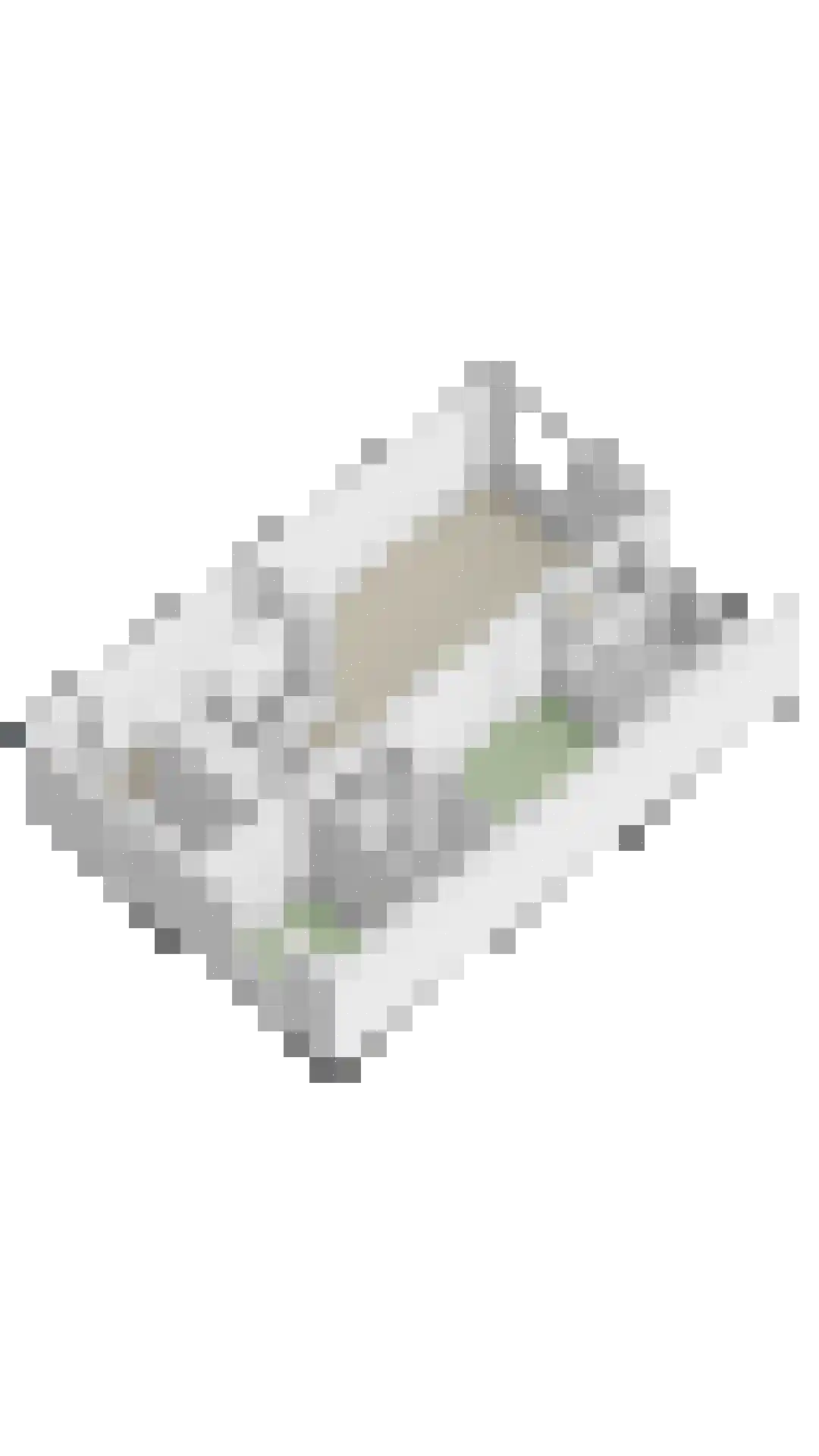 De Oude Vest 15 Oss thumbnail 23