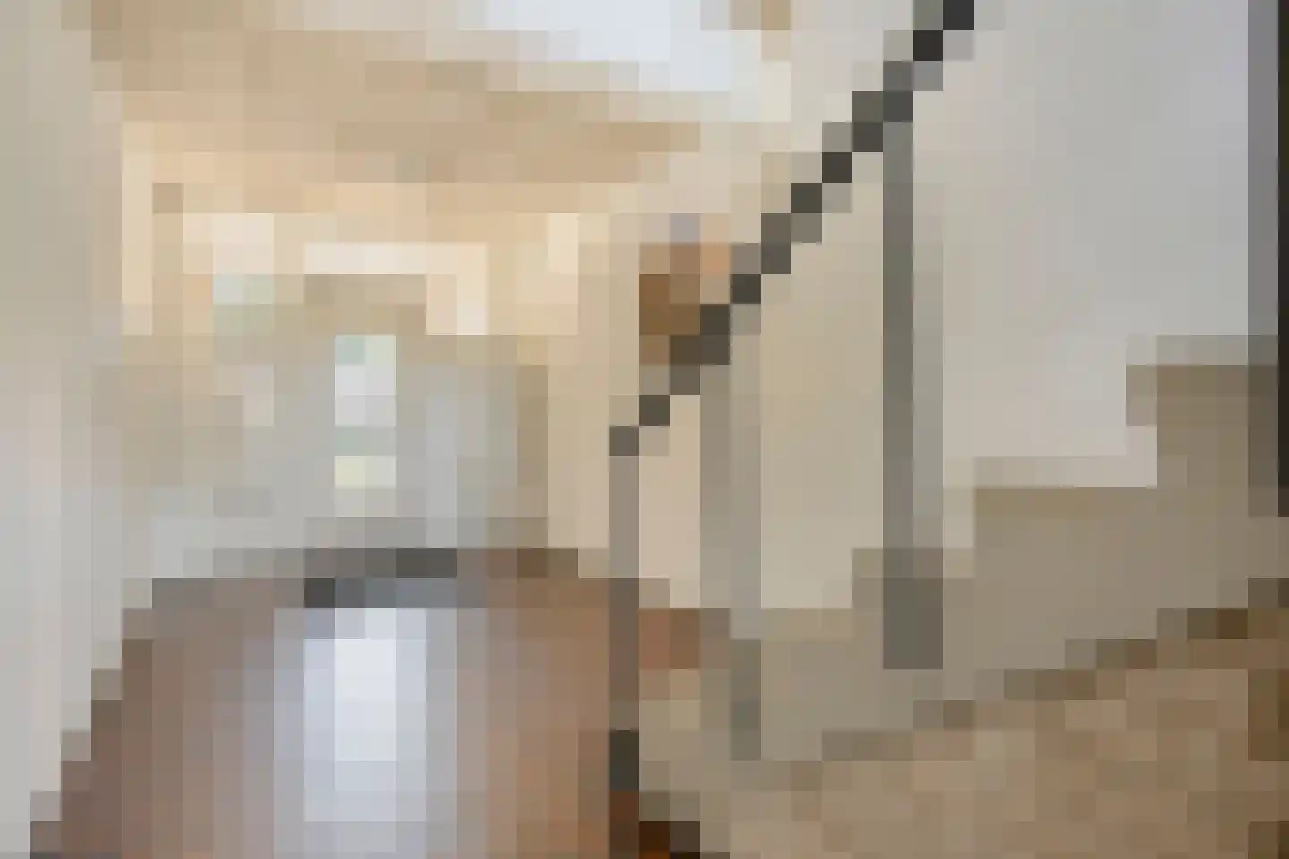 De Oude Vest 15 Oss thumbnail 7