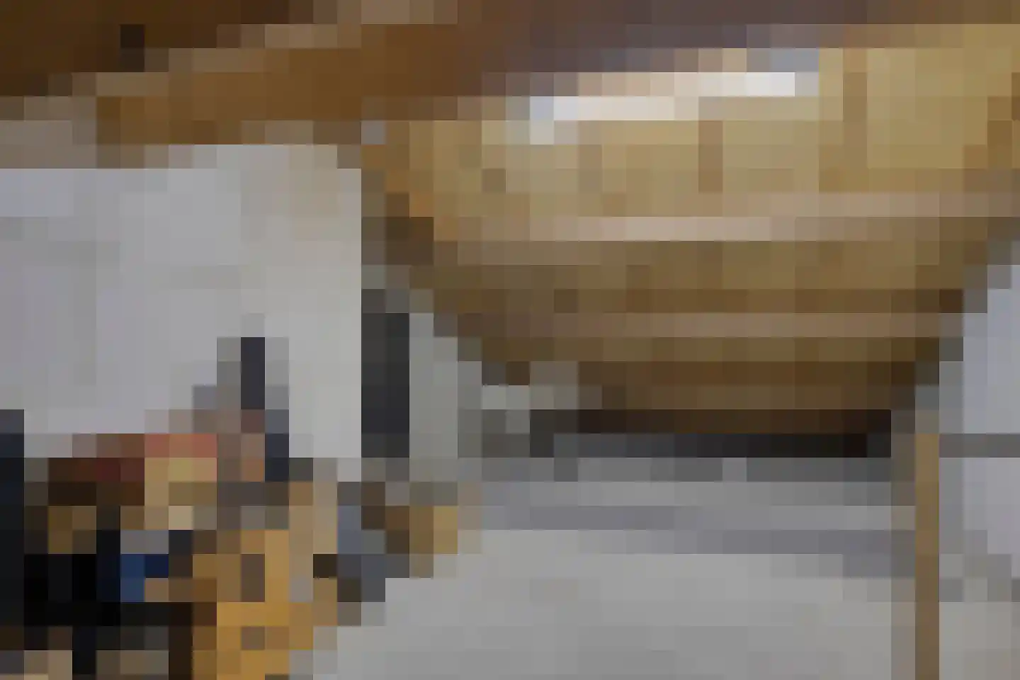 De Oude Vest 41 Oss thumbnail 24