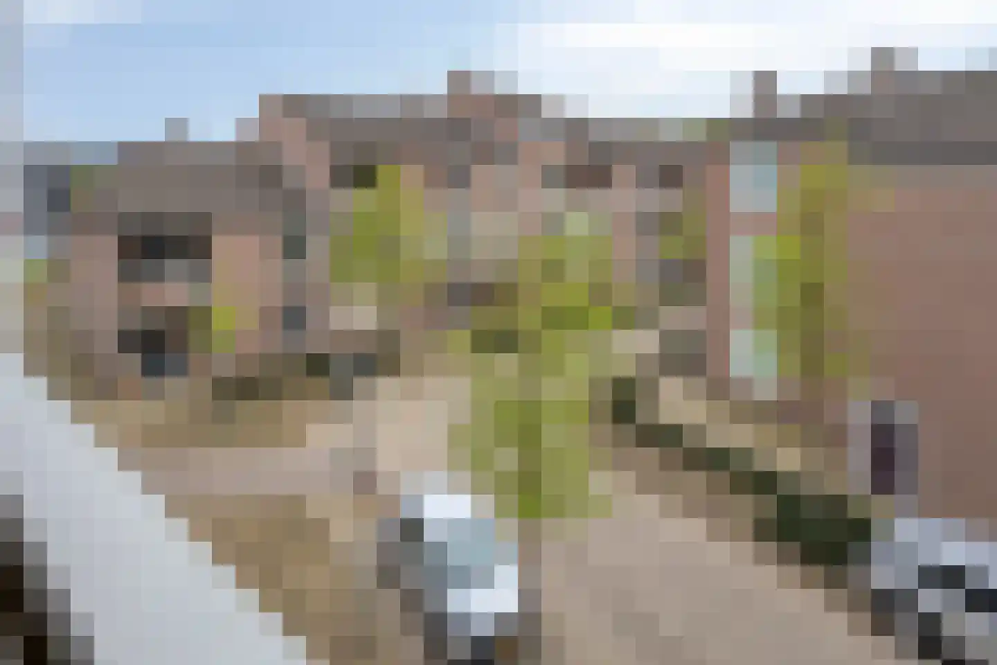 De Oude Vest 41 Oss thumbnail 27