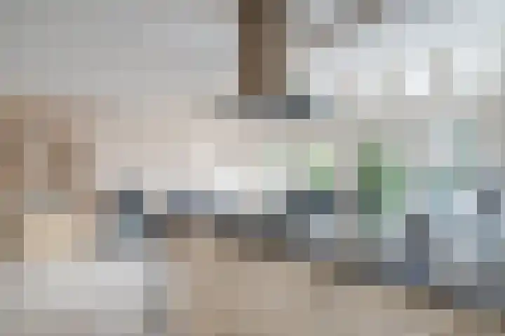De Oude Watergeul 2 Egmond aan den Hoef thumbnail 11