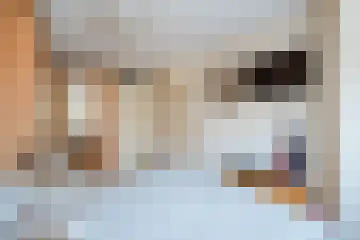 De Oude Watergeul 2 Egmond aan den Hoef thumbnail 13