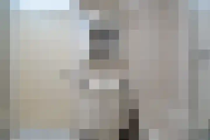 De Oude Watergeul 2 Egmond aan den Hoef thumbnail 16