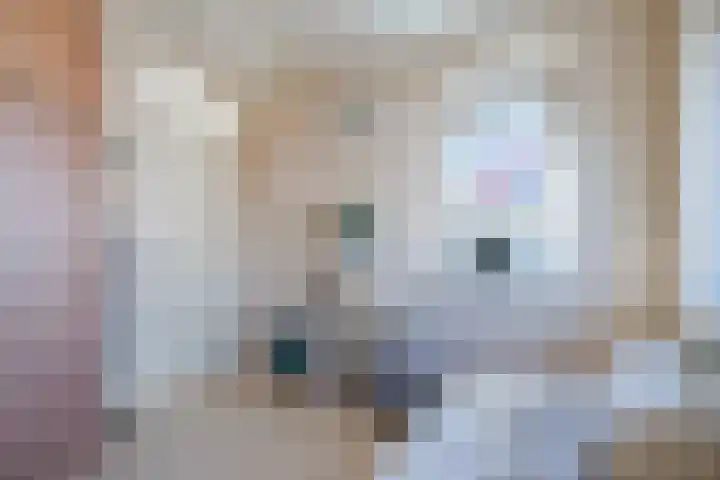 De Oude Watergeul 2 Egmond aan den Hoef thumbnail 21