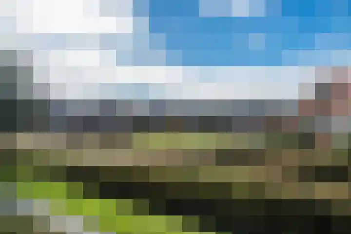 De Oude Watergeul 2 Egmond aan den Hoef thumbnail 23