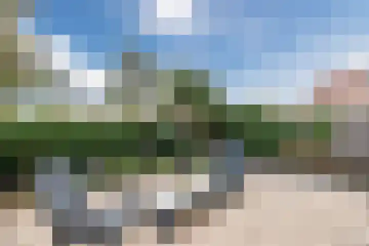 De Oude Watergeul 2 Egmond aan den Hoef thumbnail 24