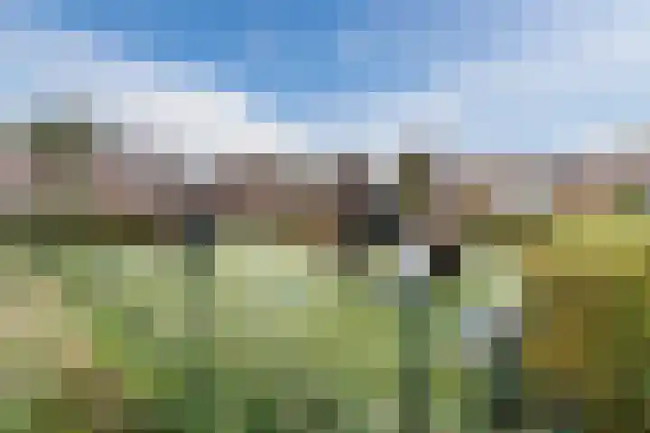 De Oude Watergeul 2 Egmond aan den Hoef thumbnail 28