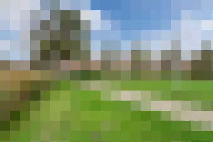 De Oude Watergeul 2 Egmond aan den Hoef thumbnail 29