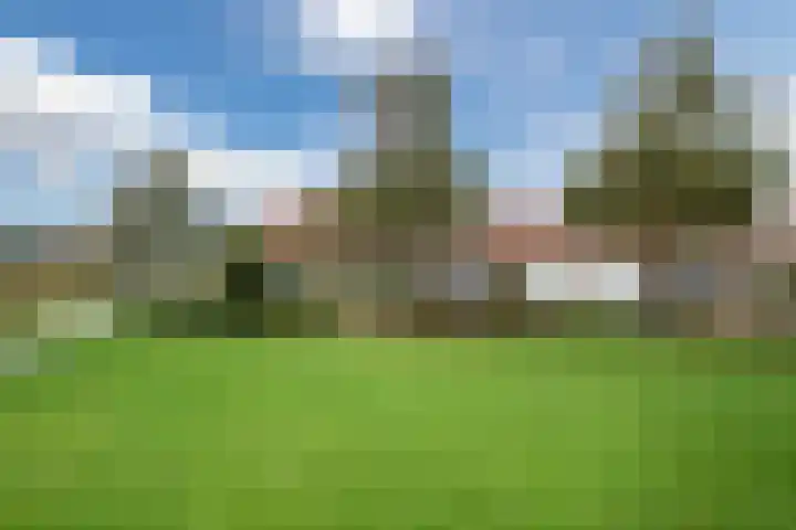 De Oude Watergeul 2 Egmond aan den Hoef thumbnail 30