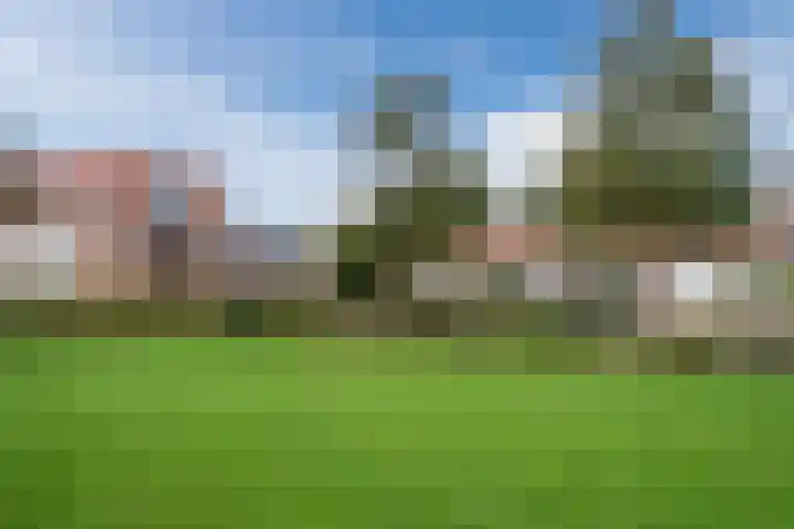 De Oude Watergeul 2 Egmond aan den Hoef thumbnail 31