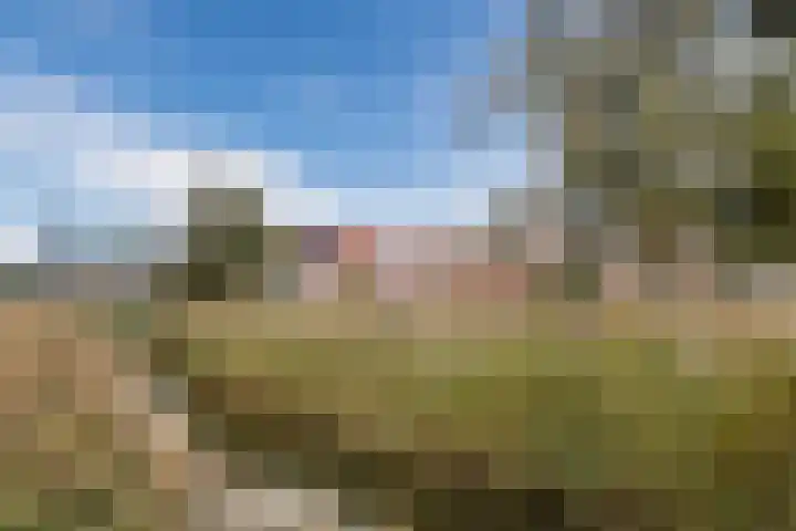 De Oude Watergeul 2 Egmond aan den Hoef thumbnail 32
