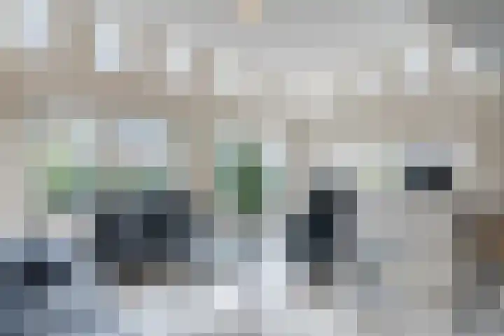 De Oude Watergeul 2 Egmond aan den Hoef thumbnail 8