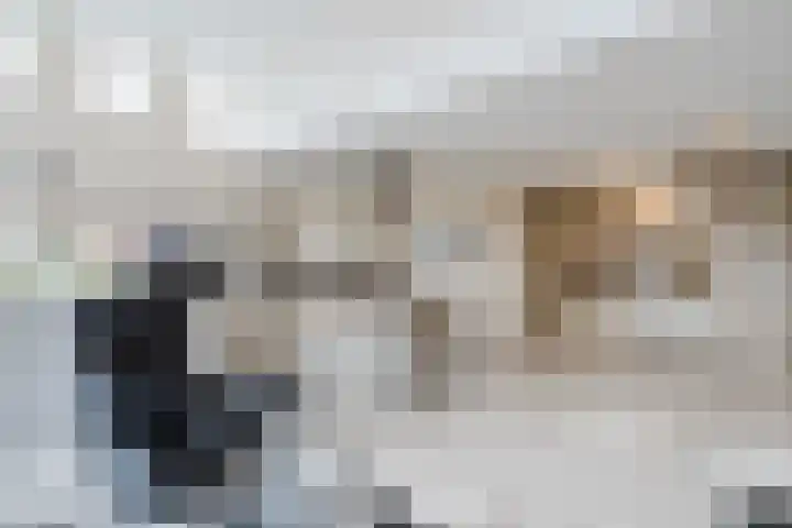 De Oude Watergeul 2 Egmond aan den Hoef thumbnail 9