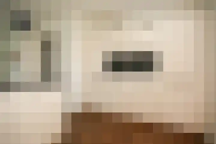 De Oude Weg 25 Elst Ut thumbnail 21