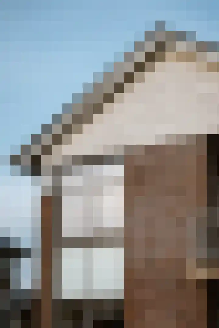 De Oude Weg 25 Elst Ut thumbnail 5