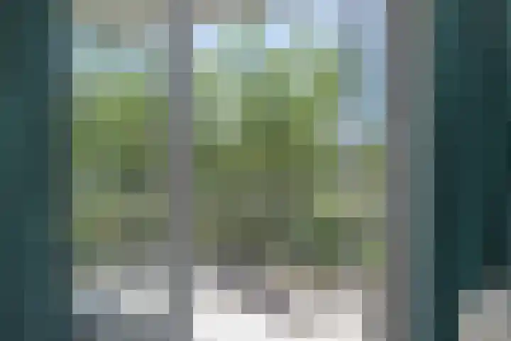 De Oude Weg 29 Elst Ut thumbnail 20