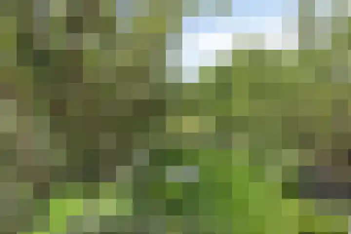 De Oude Weg 29 Elst Ut thumbnail 21