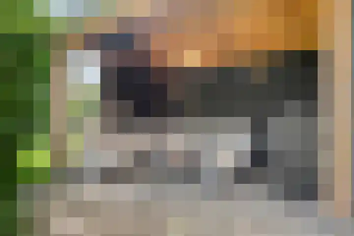 De Oude Weg 29 Elst Ut thumbnail 27