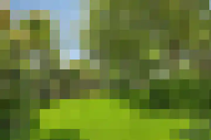 De Oude Weg 29 Elst Ut thumbnail 28