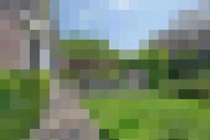 De Oude Weg 29 Elst Ut thumbnail 29