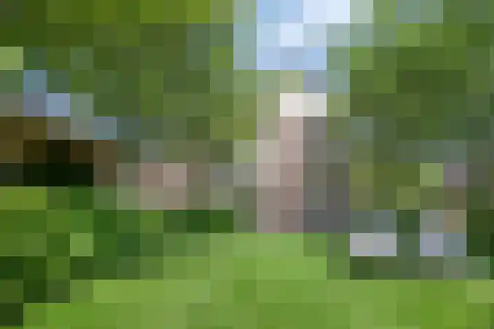 De Oude Weg 29 Elst Ut thumbnail 30