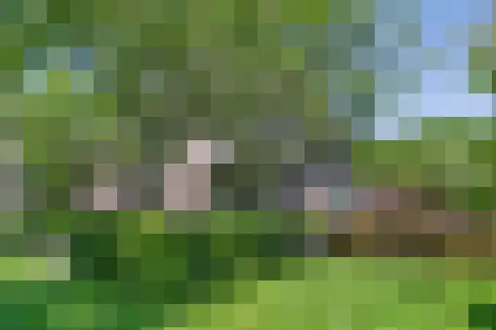 De Oude Weg 29 Elst Ut thumbnail 31
