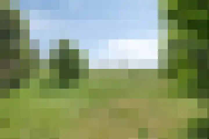 De Oude Weg 29 Elst Ut thumbnail 32
