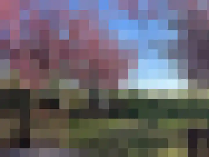 De Oude Weg 29 Elst Ut thumbnail 33