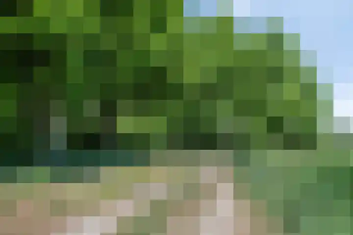 De Oude Weg 29 Elst Ut thumbnail 34