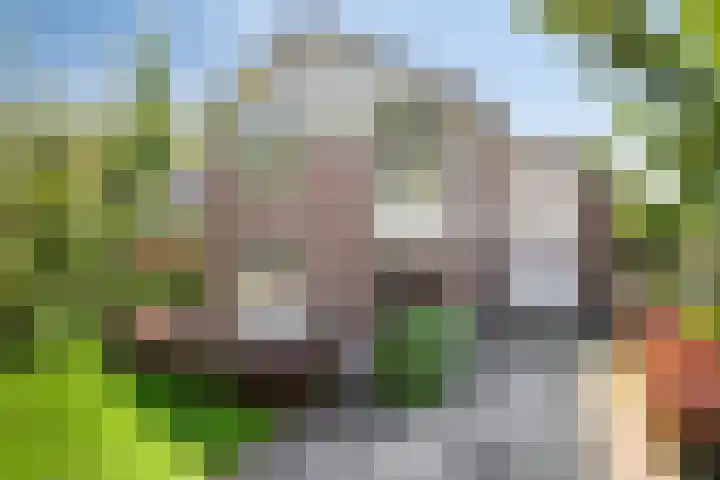 De Oude Weg 29 Elst Ut thumbnail 35