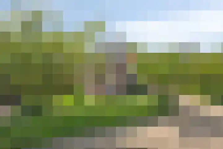 De Oude Weg 29 Elst Ut thumbnail 36