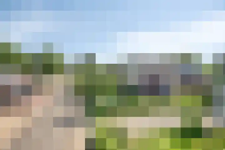 De Oude Weg 29 Elst Ut thumbnail 37