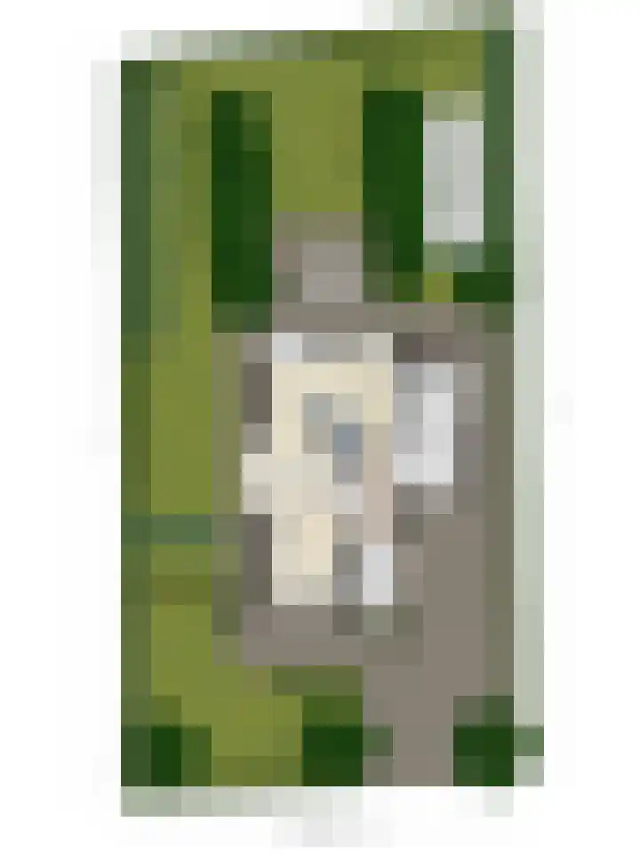 De Oude Weg 29 Elst Ut thumbnail 40