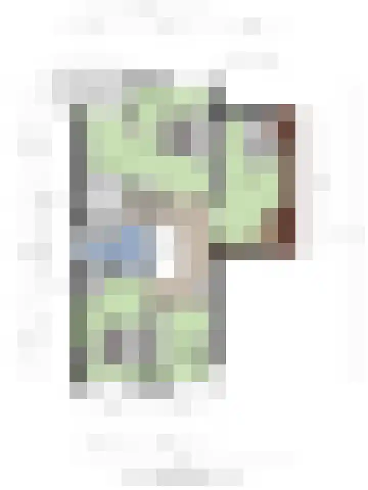 De Oude Weg 29 Elst Ut thumbnail 41