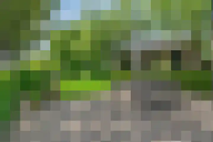 De Oude Weg 29 Elst Ut thumbnail 5