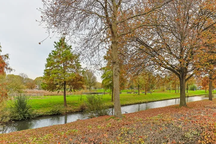 De Oude Wereld 103 Alphen aan den Rijn thumbnail 52
