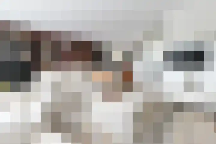 De Oude Wereld 112 Alphen aan den Rijn thumbnail 11