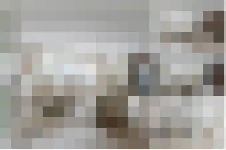 De Oude Wereld 112 Alphen aan den Rijn thumbnail 15