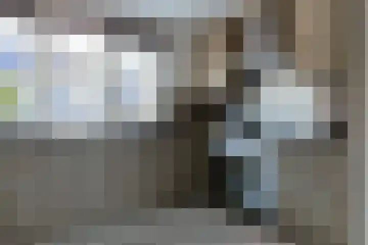 De Oude Wereld 112 Alphen aan den Rijn thumbnail 21