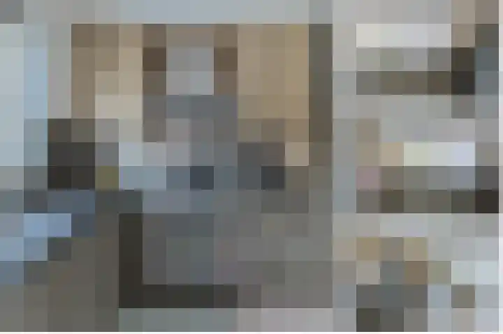 De Oude Wereld 112 Alphen aan den Rijn thumbnail 24