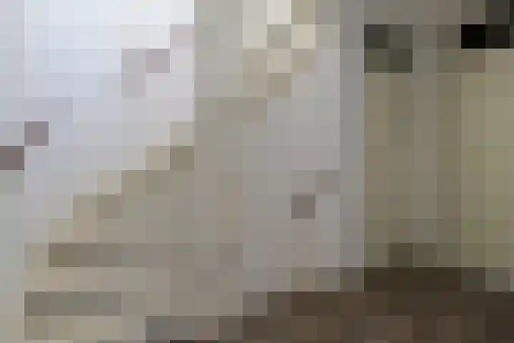 De Oude Wereld 112 Alphen aan den Rijn thumbnail 25