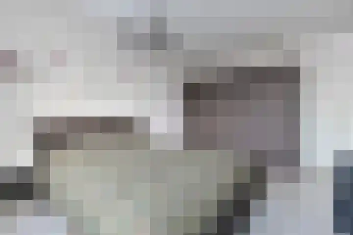 De Oude Wereld 112 Alphen aan den Rijn thumbnail 29