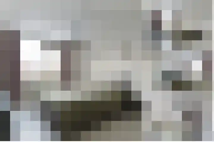 De Oude Wereld 112 Alphen aan den Rijn thumbnail 30