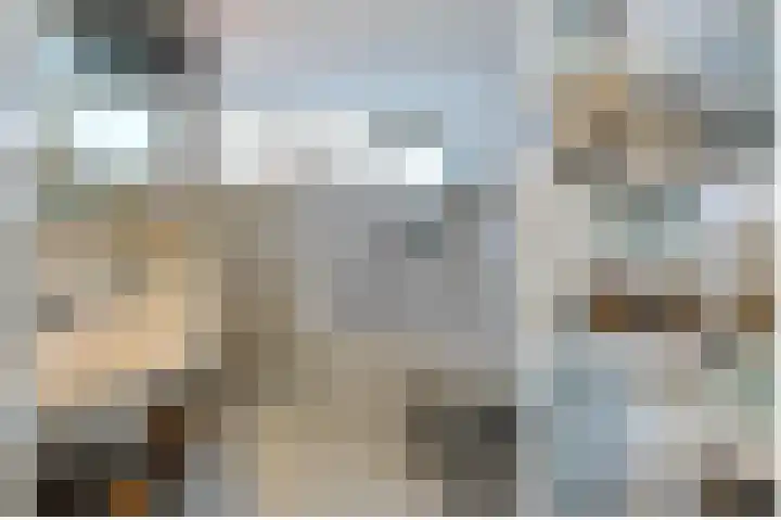 De Oude Wereld 112 Alphen aan den Rijn thumbnail 36