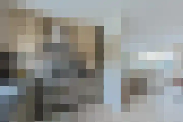 De Oude Wereld 112 Alphen aan den Rijn thumbnail 4